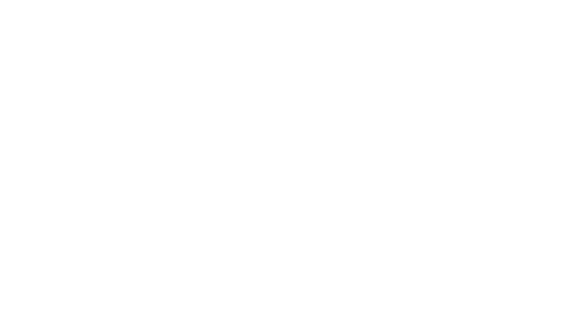 Ford Agency Inc - Logo 800